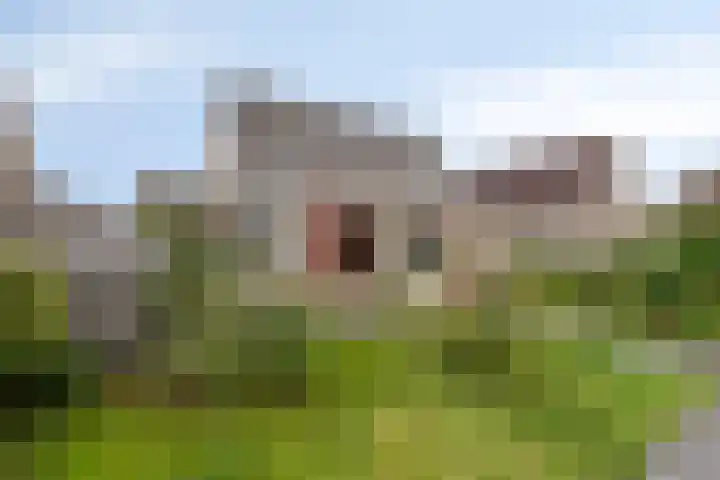 Waterbies 5 Zuidhorn thumbnail 34