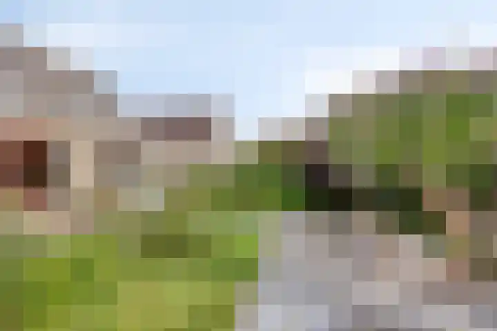 Waterbies 5 Zuidhorn thumbnail 35