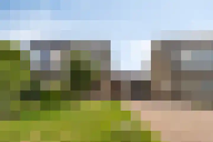 Waterbies 5 Zuidhorn thumbnail 5