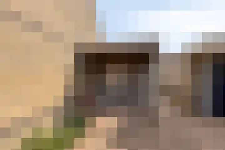 Waterbies 5 Zuidhorn thumbnail 7
