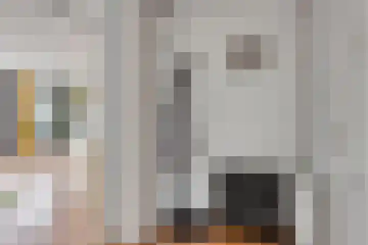 Waterbies 5 Zuidhorn thumbnail 8