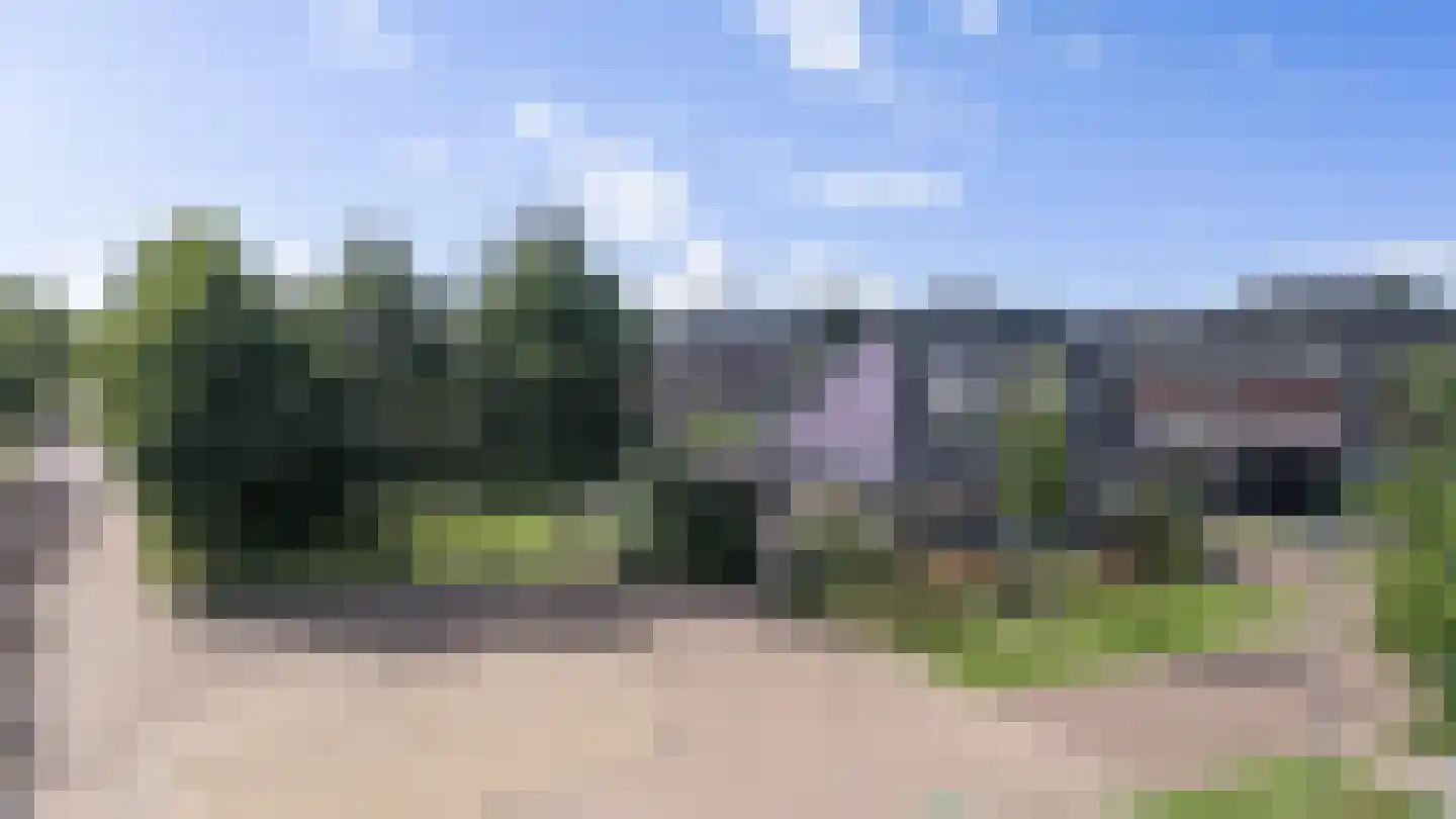 Waterbies 59 Schoonebeek thumbnail 16