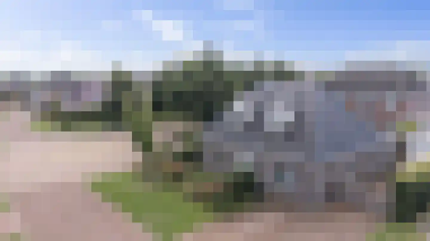 Waterbies 59 Schoonebeek thumbnail 17