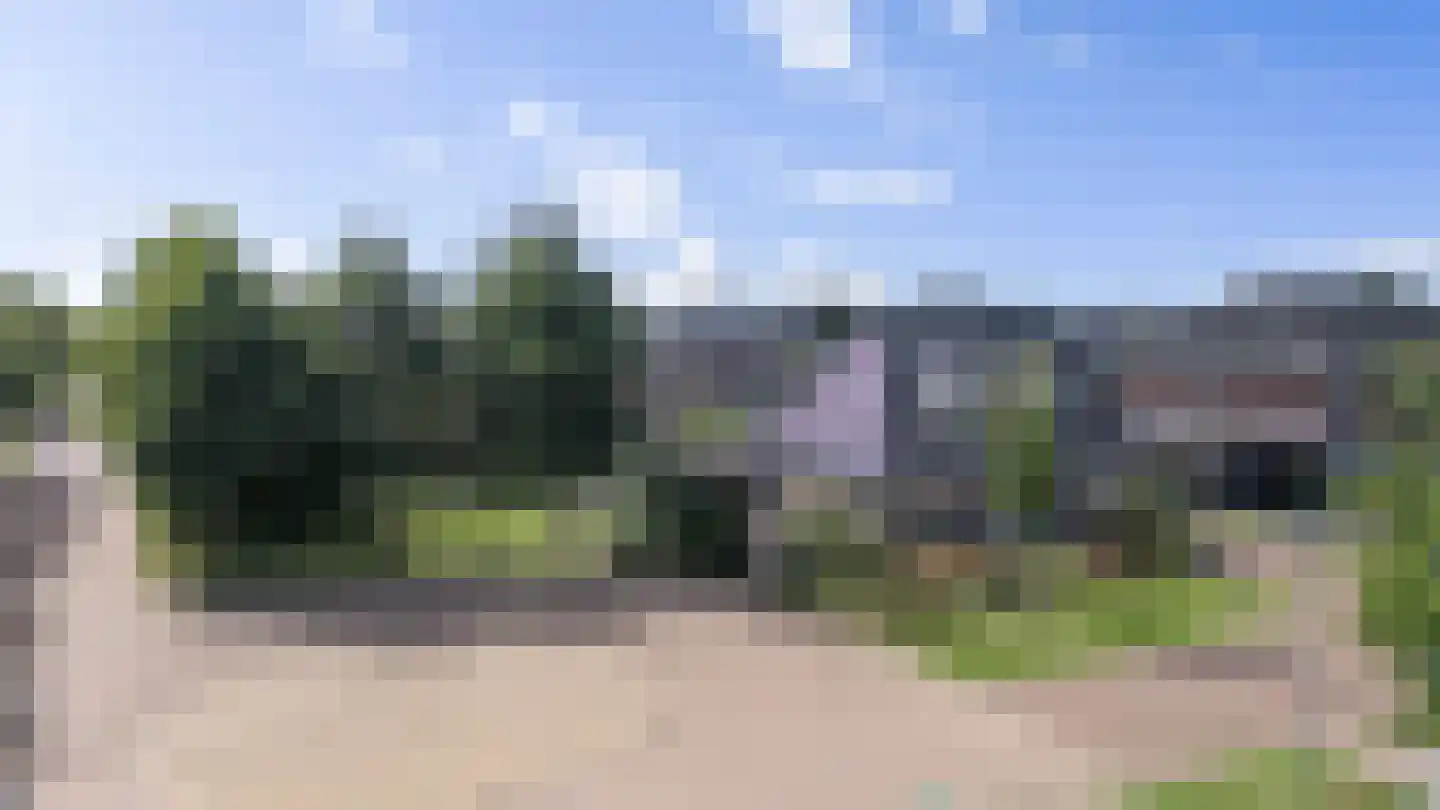 Waterbies 59 Schoonebeek thumbnail 4