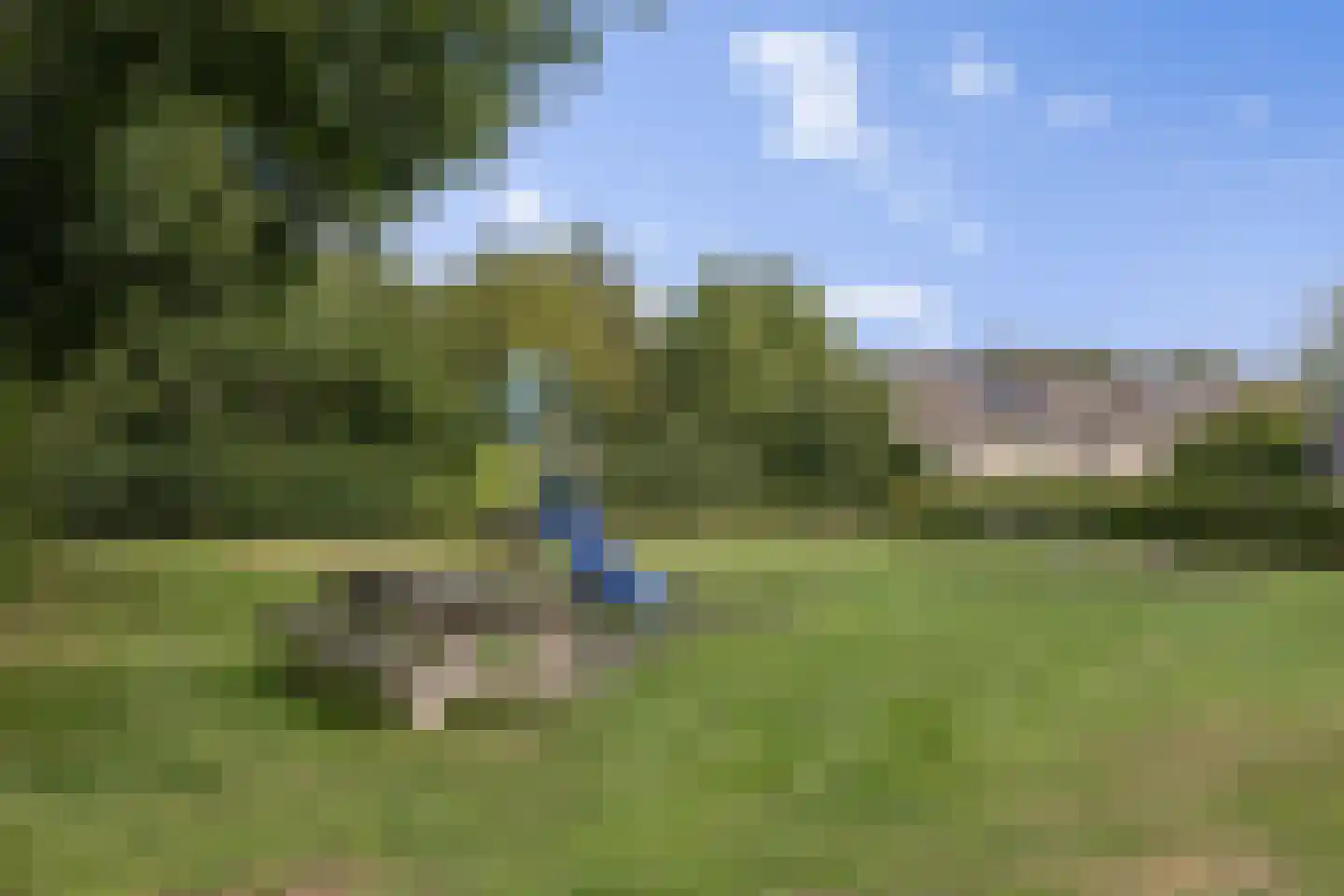 Waterbies 59 Schoonebeek thumbnail 59