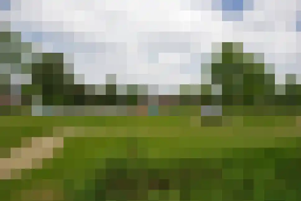 Waterbies 59 Schoonebeek thumbnail 60