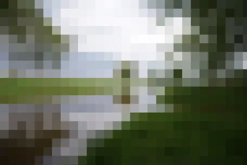 Waterbies 59 Schoonebeek thumbnail 61