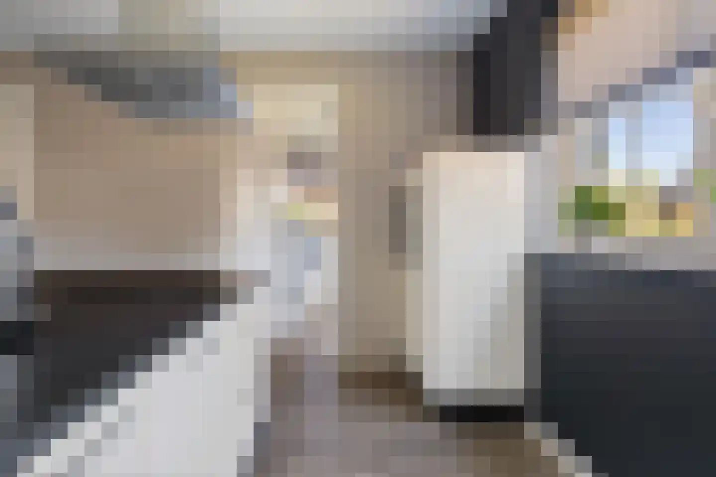 Waterbies 67 Schoonebeek thumbnail 26
