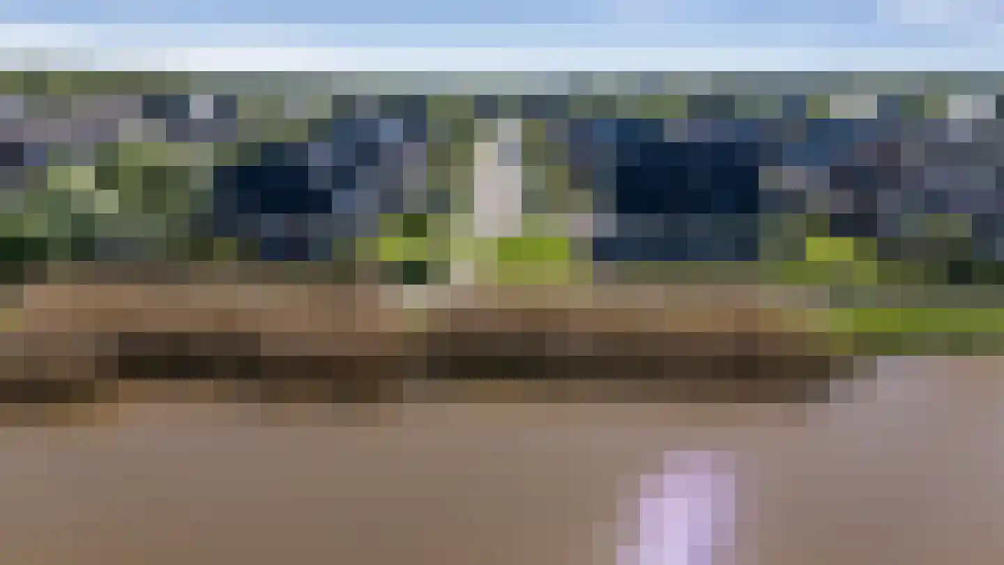 Waterbies 67 Schoonebeek thumbnail 48