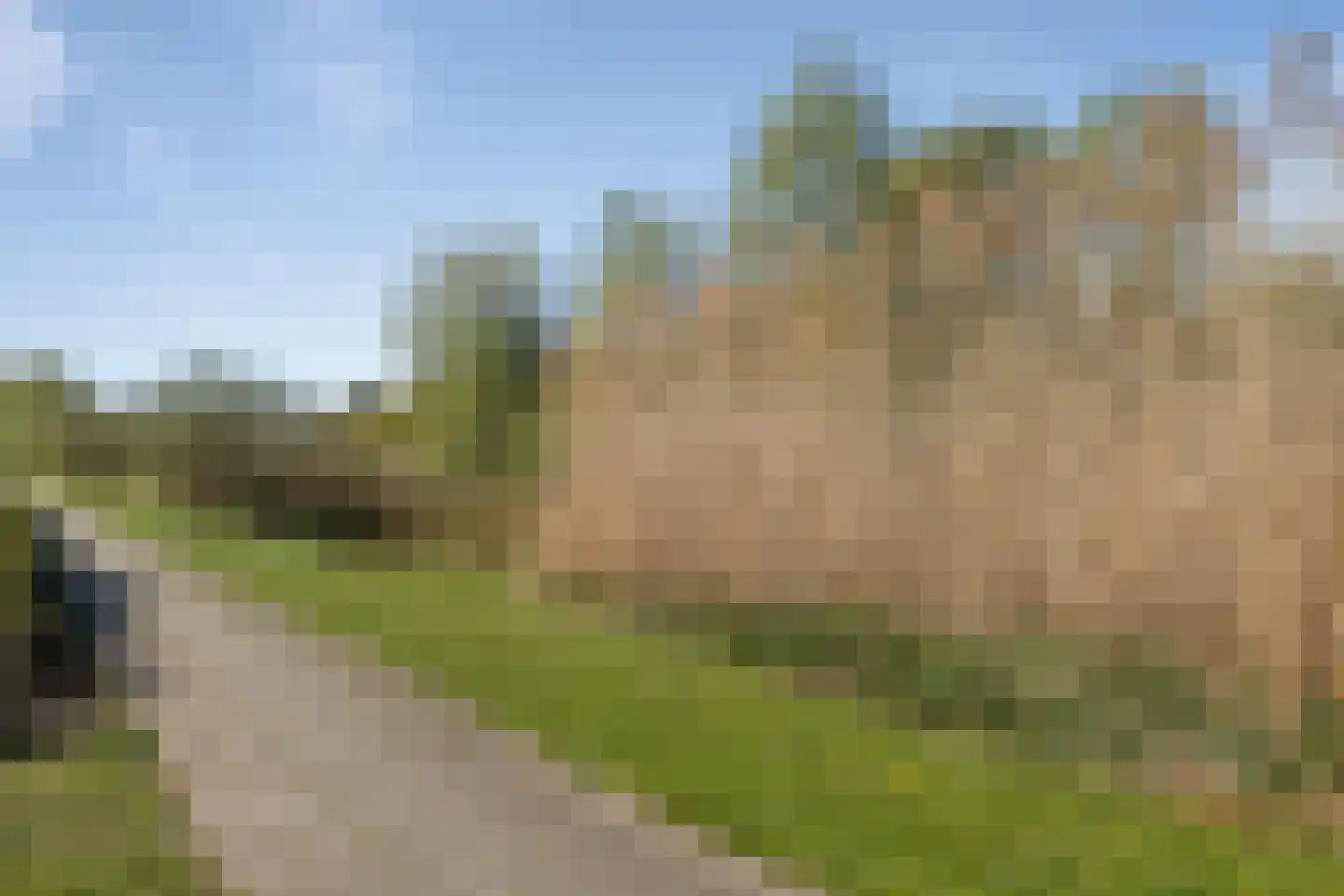 Waterbies 67 Schoonebeek thumbnail 49