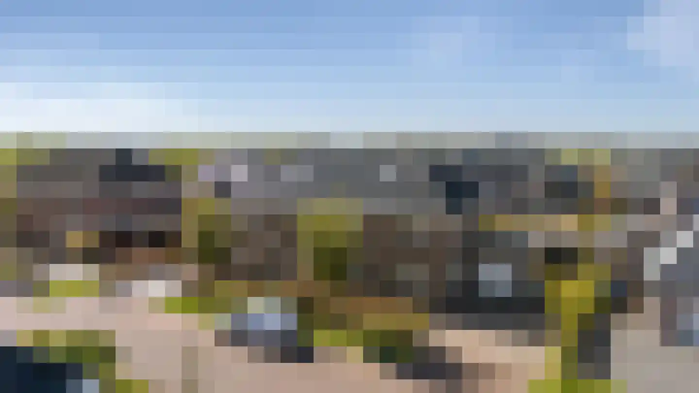 Waterbies 67 Schoonebeek thumbnail 6
