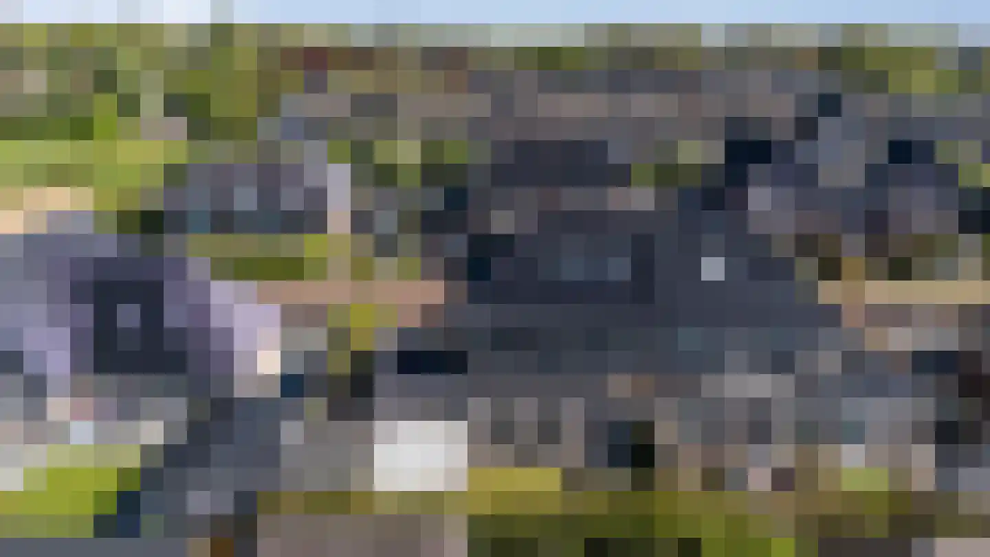 Waterbies 67 Schoonebeek thumbnail 8