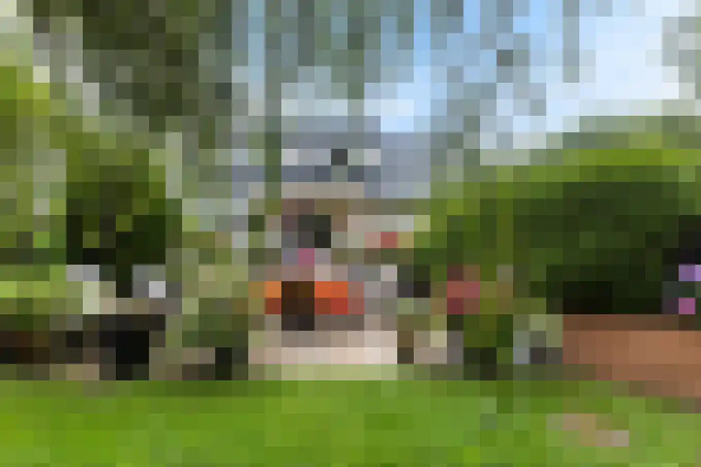 Waterbies 7 Leeuwarden thumbnail 31
