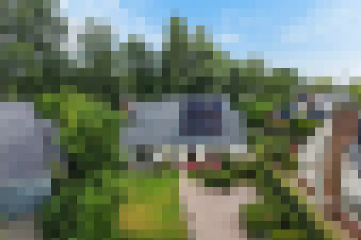 Waterbies 7 Leeuwarden thumbnail 6