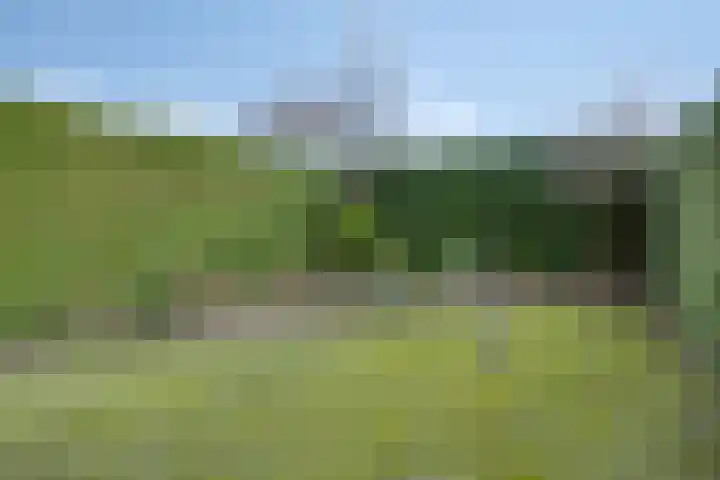 Waterbies 9 's-Hertogenbosch thumbnail 30