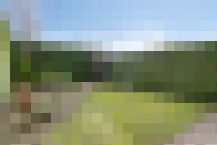 Waterbies 9 's-Hertogenbosch thumbnail 31