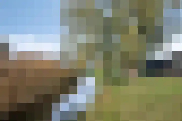Waterbies 9 's-Hertogenbosch thumbnail 36