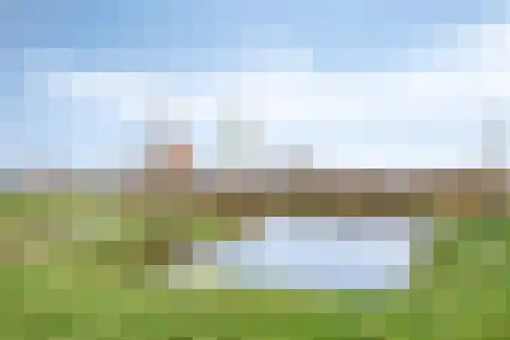 Waterbies 9 's-Hertogenbosch thumbnail 37
