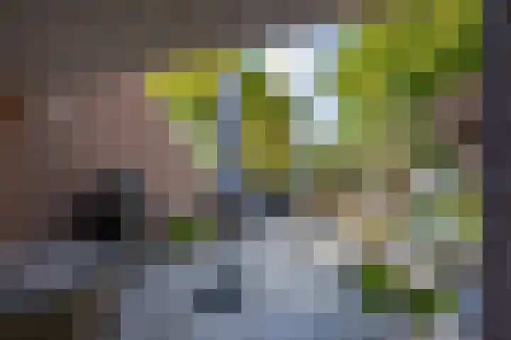 Waterbieskreek 46 Leiderdorp thumbnail 12