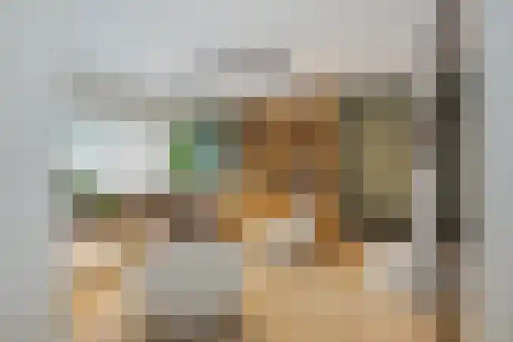 Waterbieskreek 46 Leiderdorp thumbnail 15