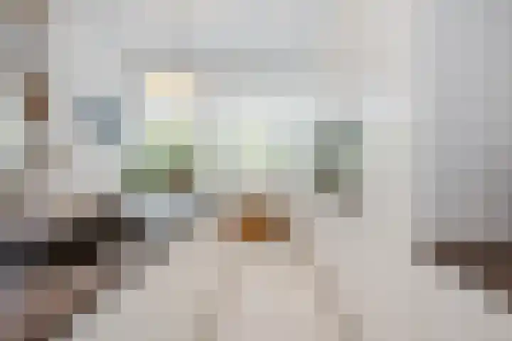 Waterbieskreek 46 Leiderdorp thumbnail 22