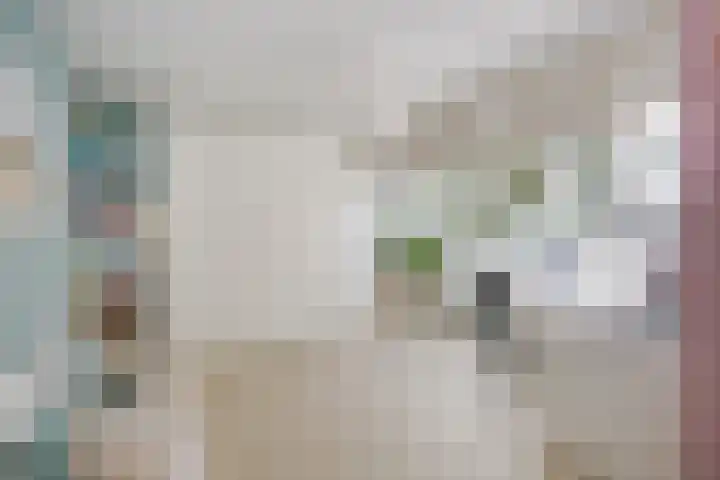 Waterbieskreek 46 Leiderdorp thumbnail 31