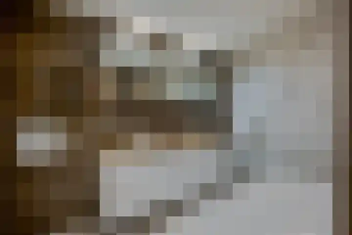 Waterbieskreek 46 Leiderdorp thumbnail 37