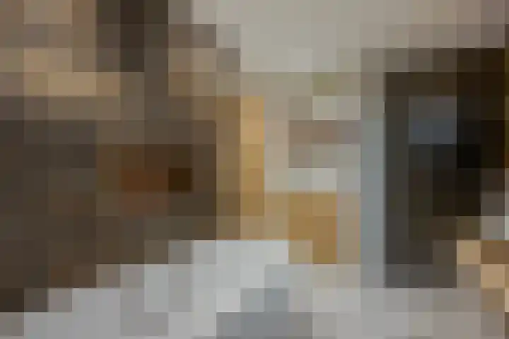 Waterbieskreek 46 Leiderdorp thumbnail 38