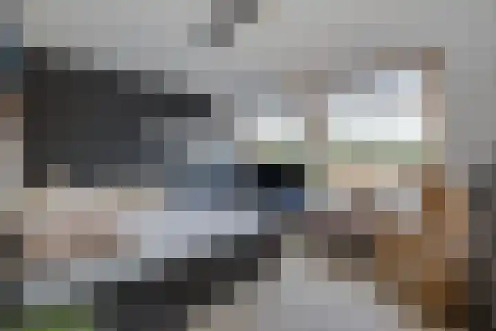 Waterbieskreek 46 Leiderdorp thumbnail 41