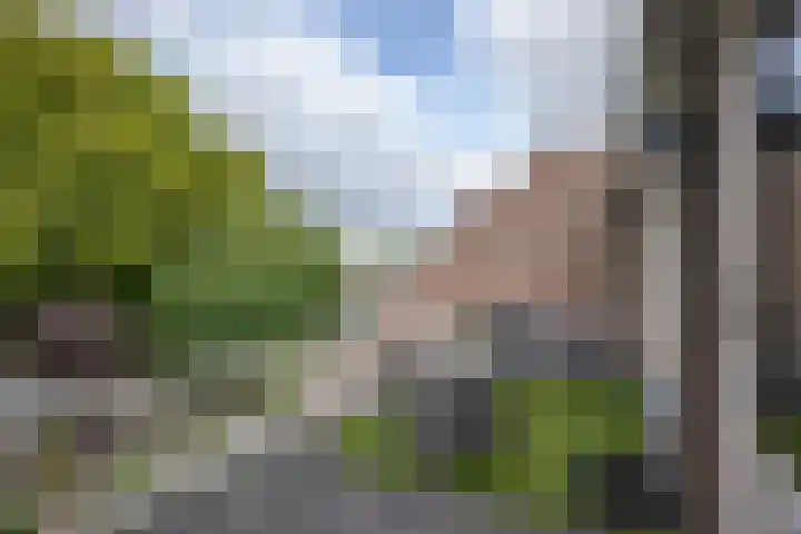 Waterbieskreek 46 Leiderdorp thumbnail 45
