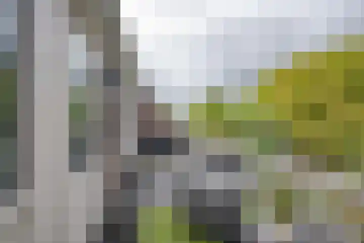 Waterbieskreek 46 Leiderdorp thumbnail 46