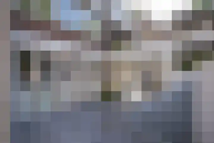 Waterbieskreek 46 Leiderdorp thumbnail 5