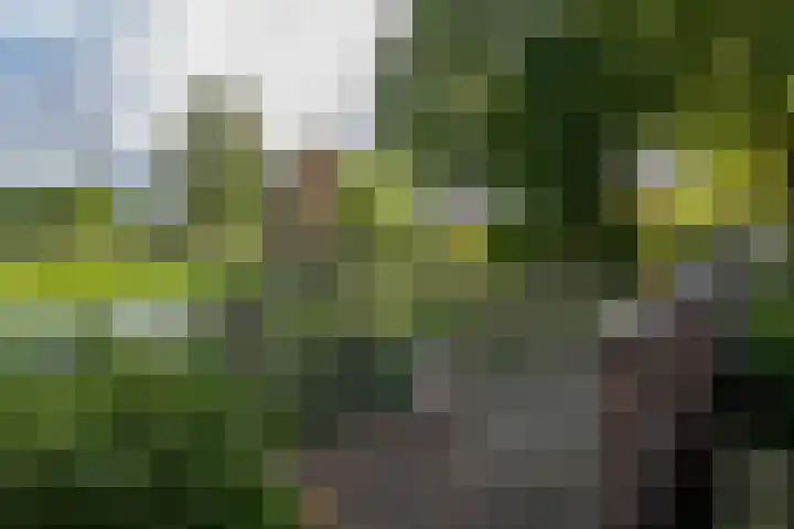 Waterbieskreek 46 Leiderdorp thumbnail 50