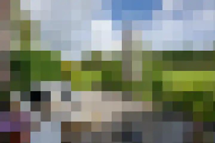 Waterbieskreek 46 Leiderdorp thumbnail 51