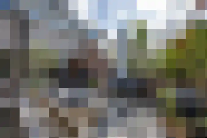 Waterbieskreek 46 Leiderdorp thumbnail 52