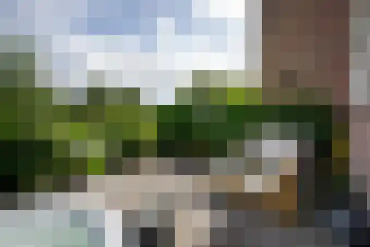 Waterbieskreek 46 Leiderdorp thumbnail 53