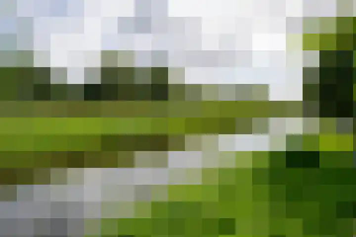Waterbieskreek 46 Leiderdorp thumbnail 54