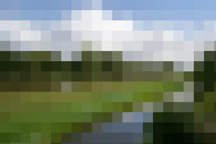 Waterbieskreek 46 Leiderdorp thumbnail 55