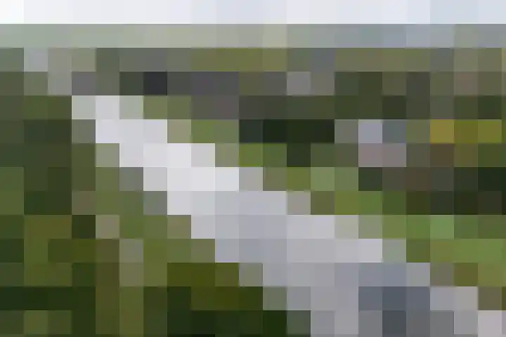 Waterbieskreek 46 Leiderdorp thumbnail 56