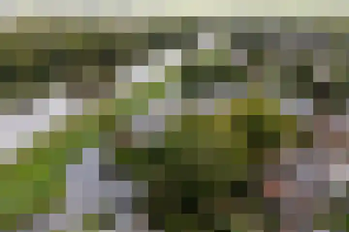 Waterbieskreek 46 Leiderdorp thumbnail 57