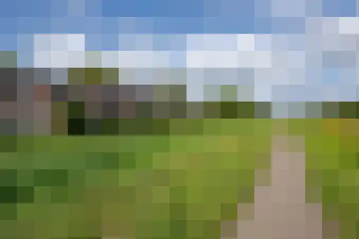 Waterbieskreek 46 Leiderdorp thumbnail 58