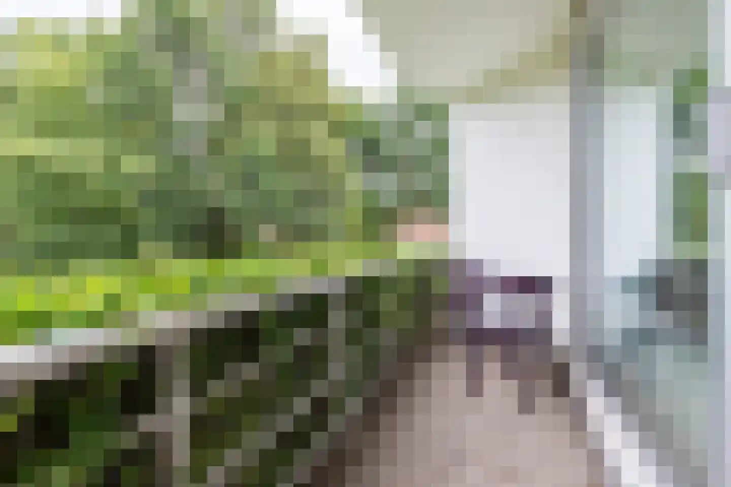 Waterbieskreek 52 Leiderdorp thumbnail 23