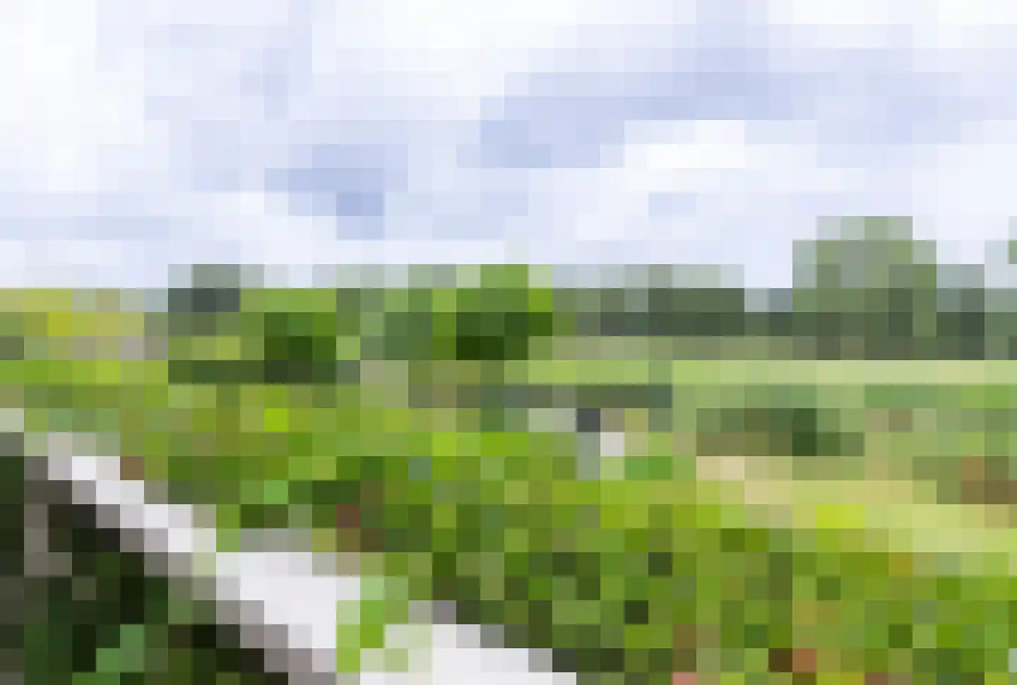 Waterbieskreek 52 Leiderdorp thumbnail 24