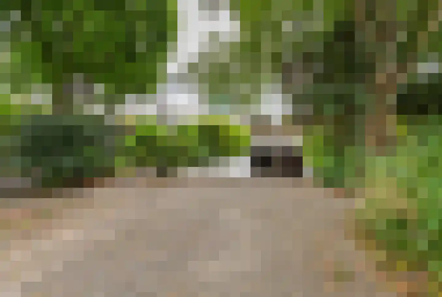 Waterbieskreek 52 Leiderdorp thumbnail 33