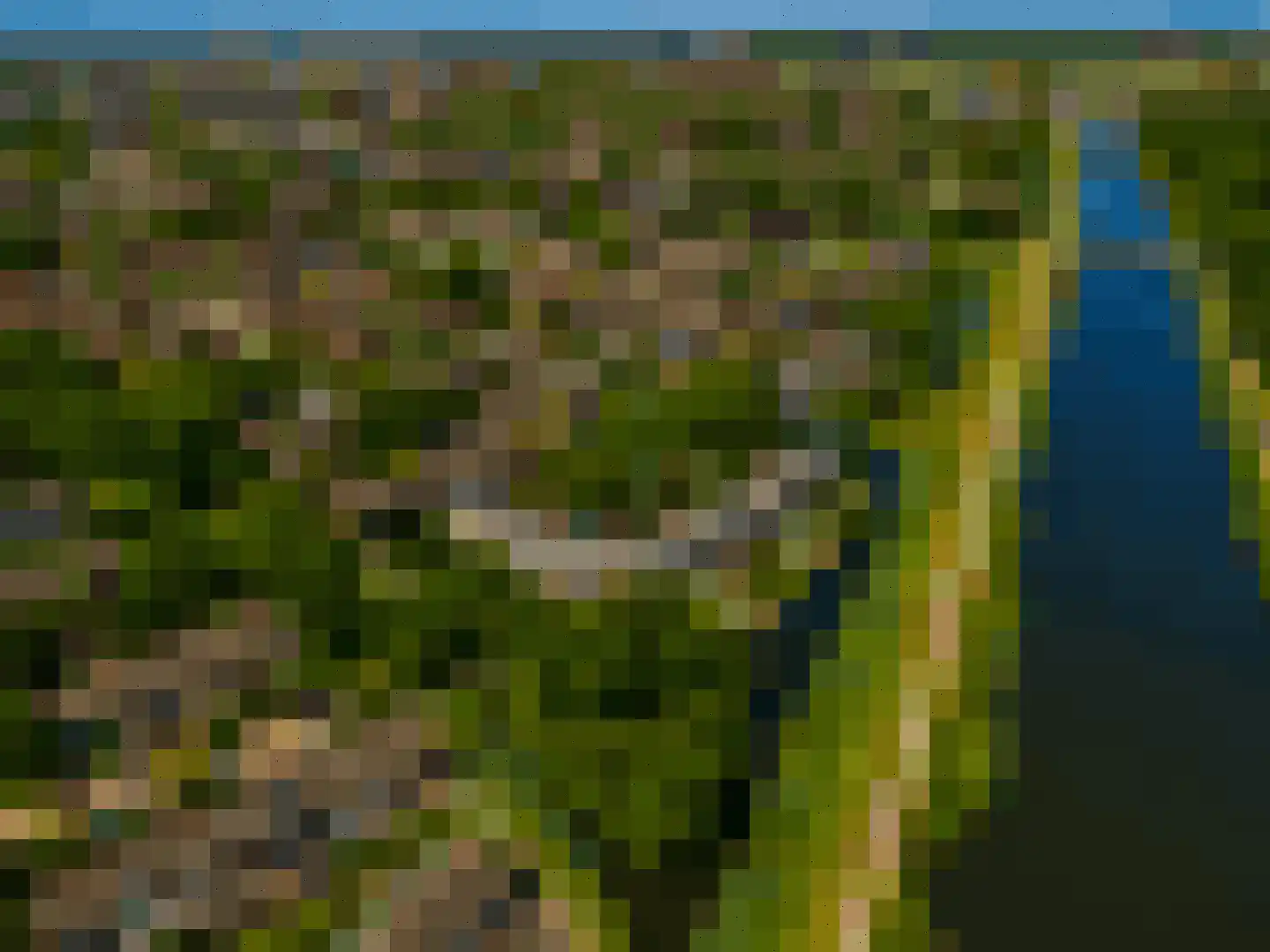 Waterbieskreek 52 Leiderdorp thumbnail 4