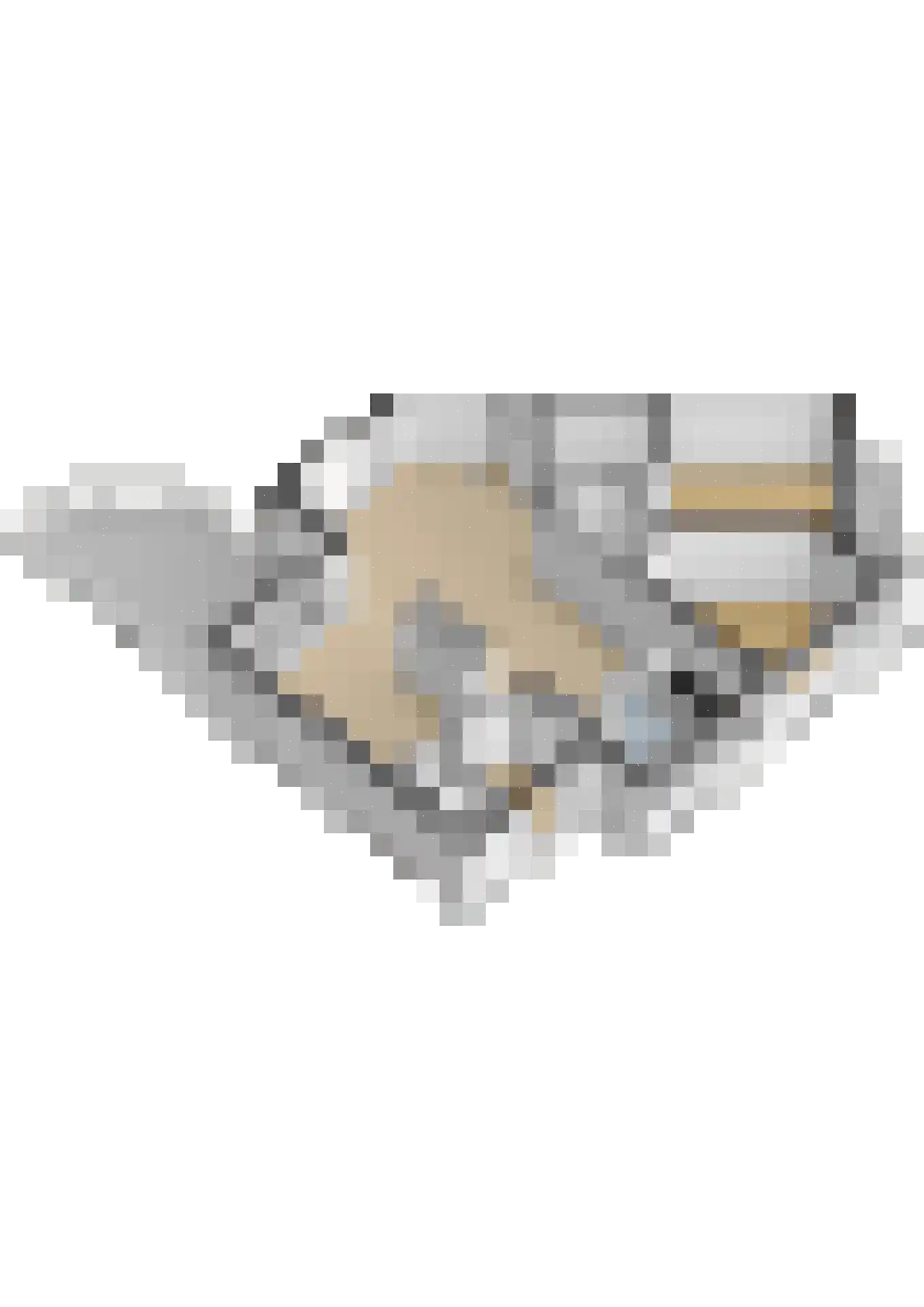 Waterbieskreek 52 Leiderdorp thumbnail 40