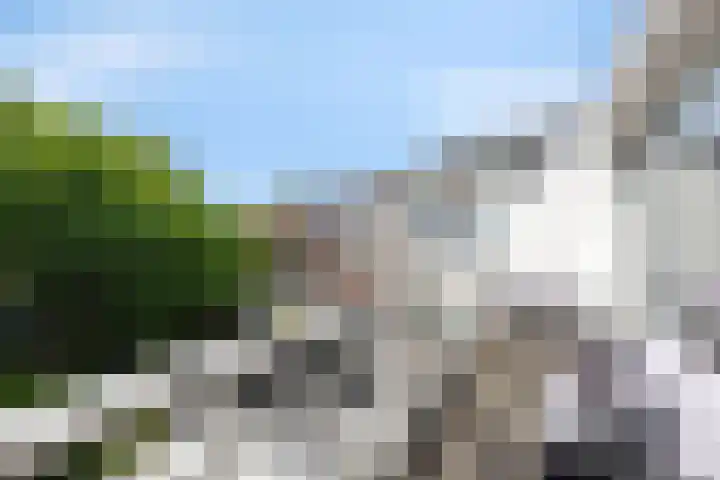 Waterbieskreek 56 Leiderdorp thumbnail 21