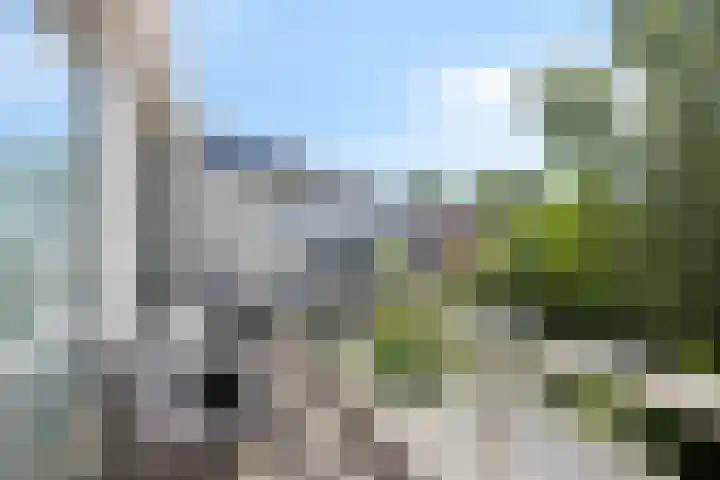 Waterbieskreek 56 Leiderdorp thumbnail 22