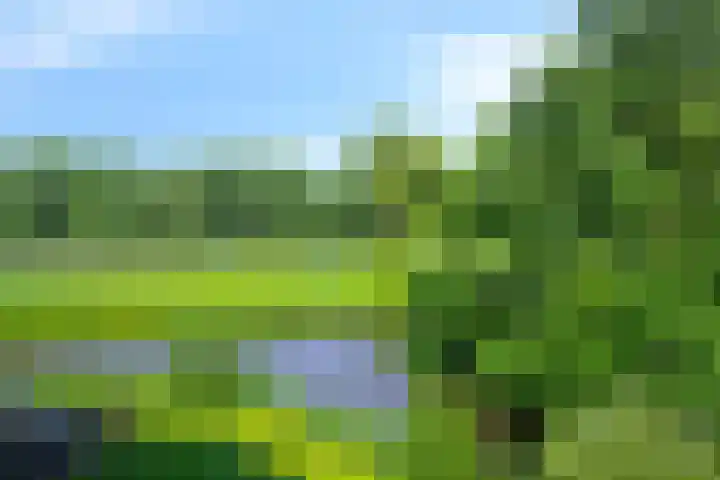 Waterbieskreek 56 Leiderdorp thumbnail 42