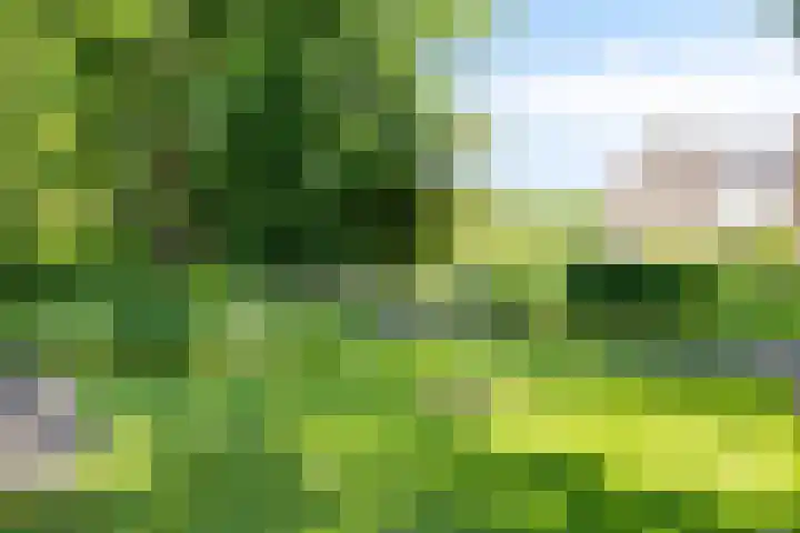 Waterbieskreek 56 Leiderdorp thumbnail 44